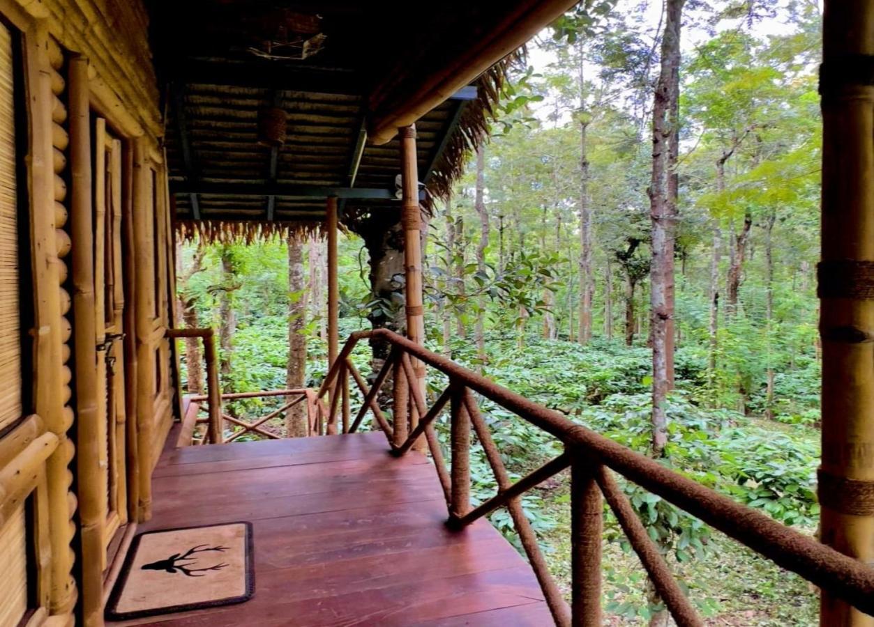 Adrak Mountain Mist Forest Resort Pulpally Exterior foto