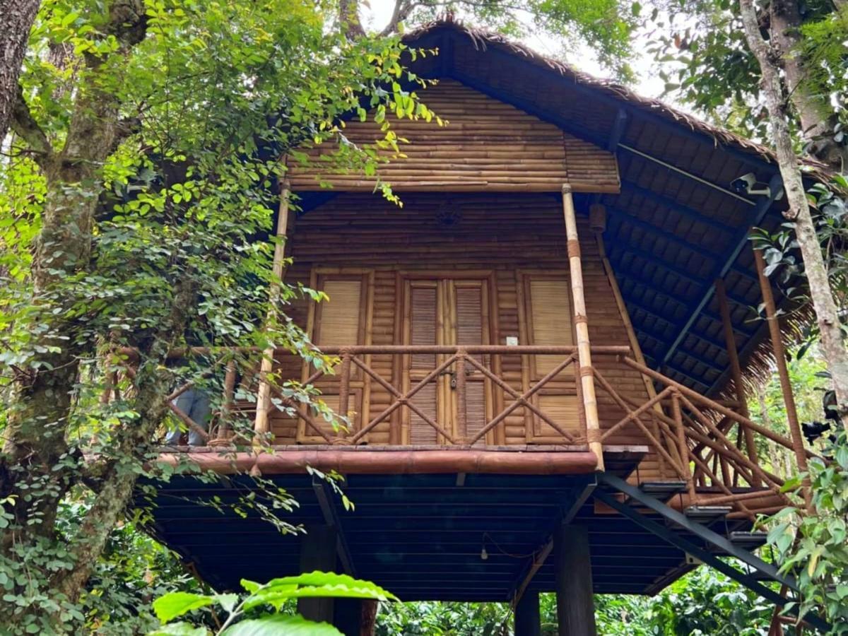 Adrak Mountain Mist Forest Resort Pulpally Exterior foto