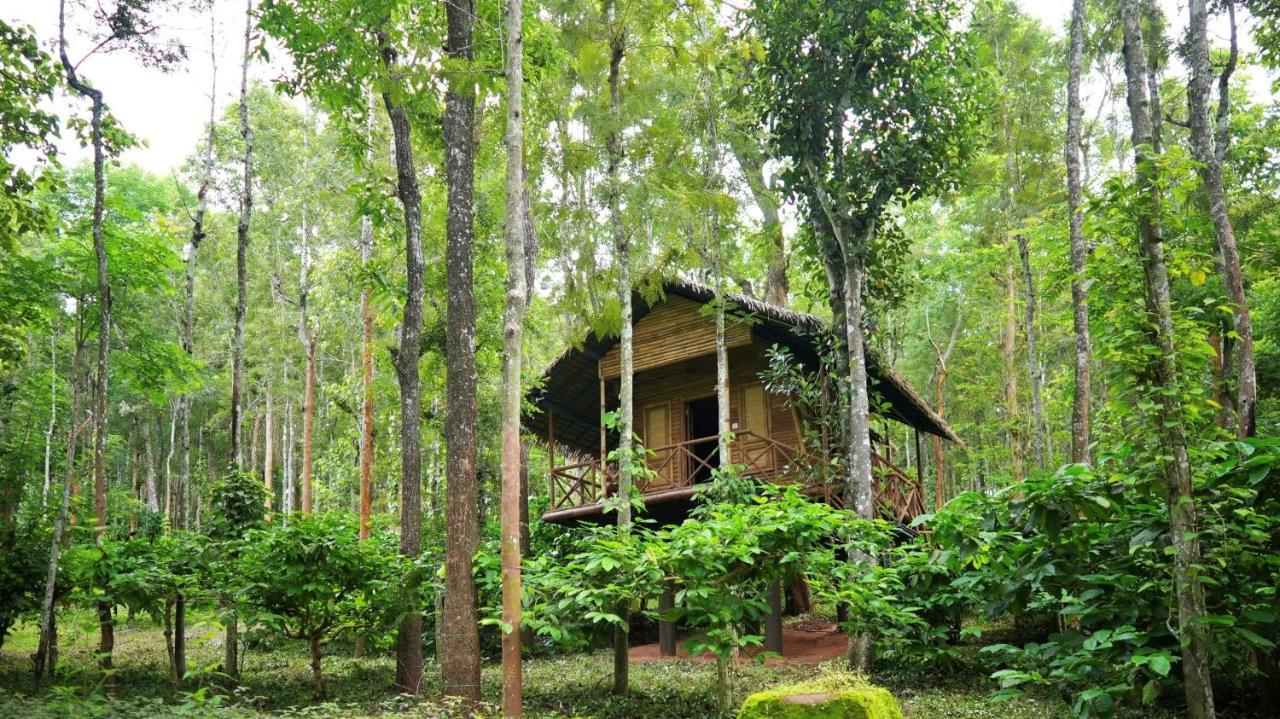 Adrak Mountain Mist Forest Resort Pulpally Exterior foto