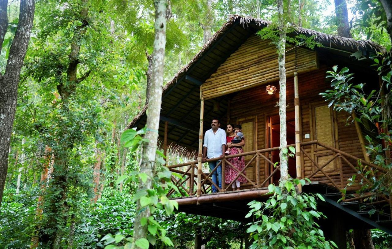 Adrak Mountain Mist Forest Resort Pulpally Exterior foto