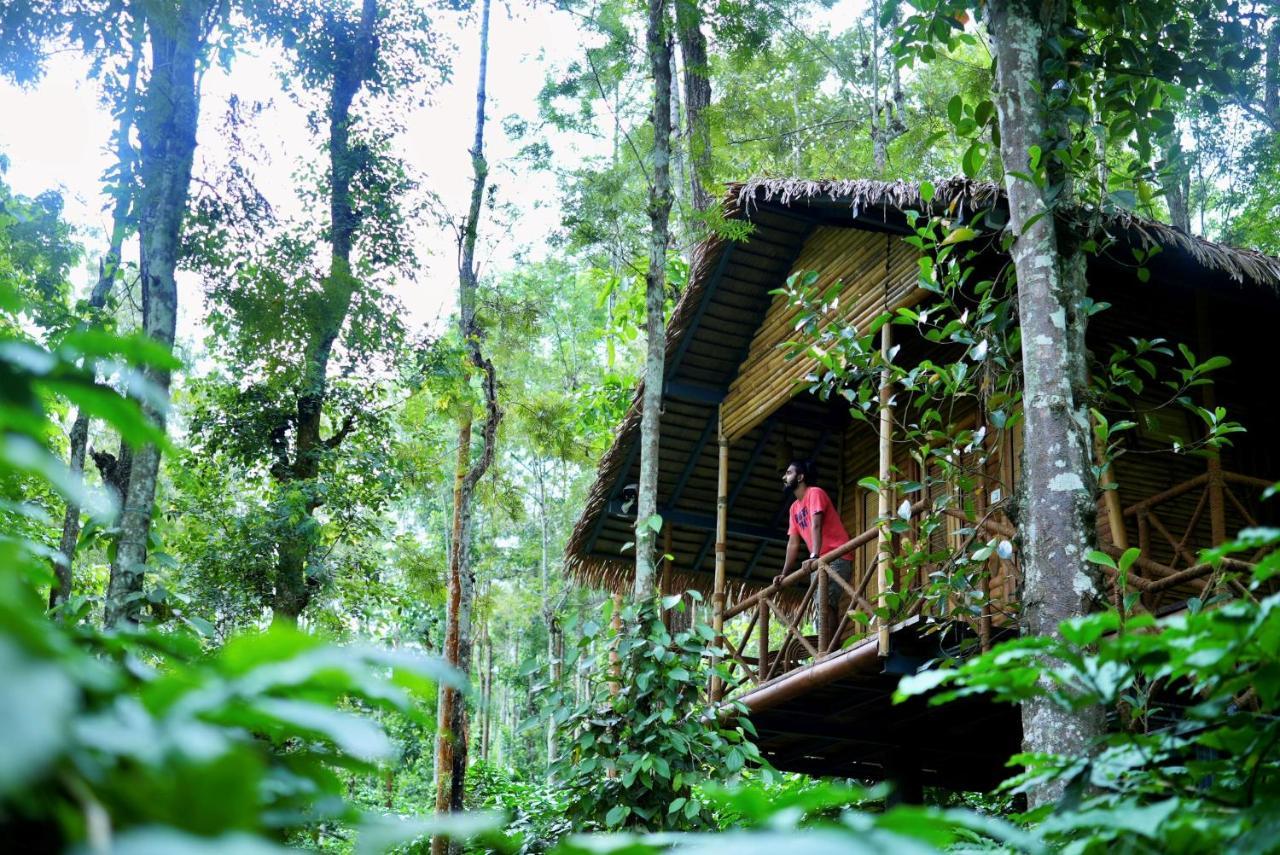 Adrak Mountain Mist Forest Resort Pulpally Exterior foto